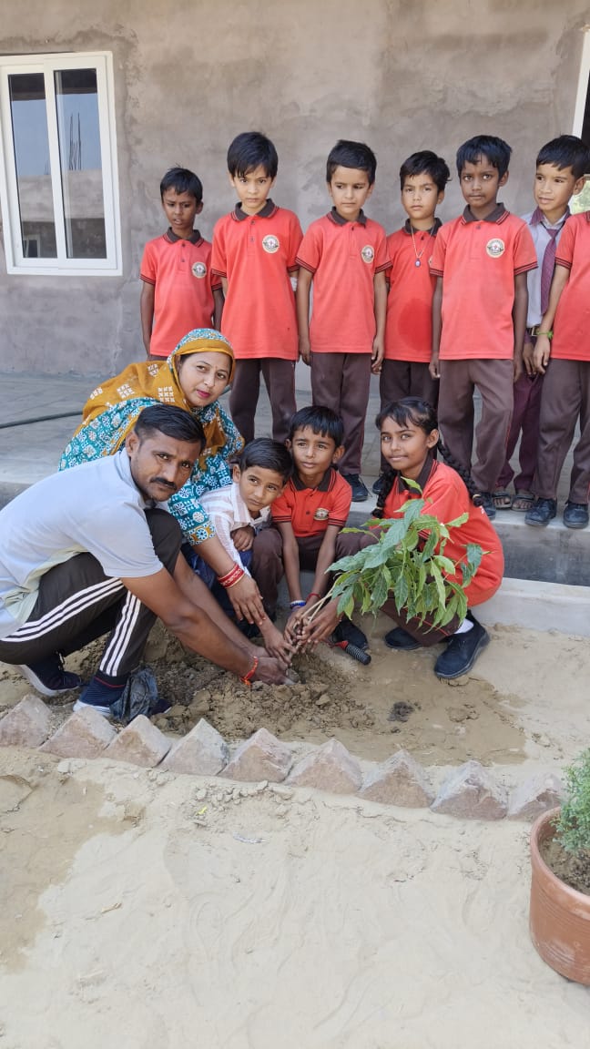 PLANTATION IN THE SCHOOL PREMISES